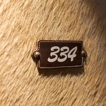 Bernerhof Swiss Quality 4*