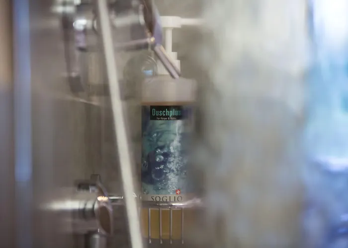 Hotel Bernerhof Swiss Quality 4*