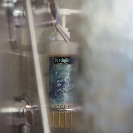 Hotel Bernerhof Swiss Quality 4*