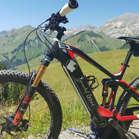 Bernerhof Swiss Quality 4* Gstaad