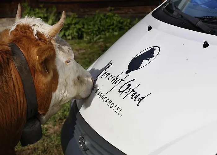 Bernerhof Swiss Quality מלון 4*