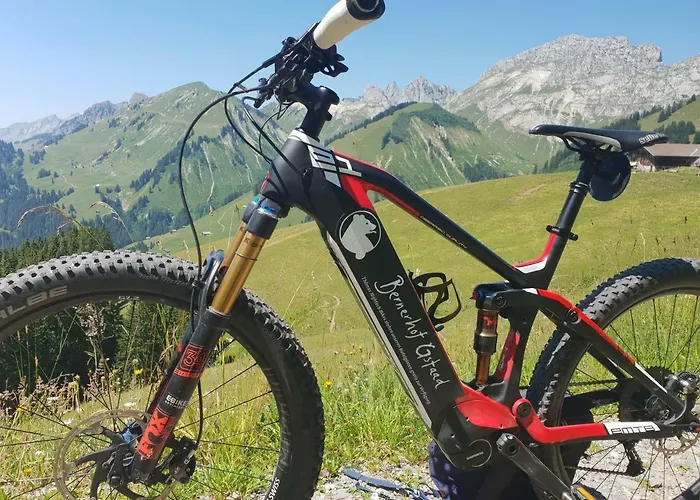 Bernerhof Swiss Quality 4* גשטאט