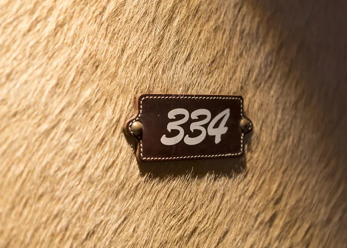 Bernerhof Swiss Quality 4*